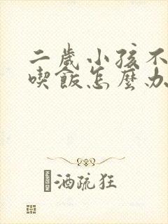 二岁小孩不好好吃饭怎么办