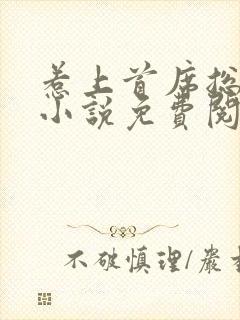 惹上首席总裁2小说免费阅读全文