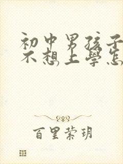 初中男孩子叛逆不想上学怎么办