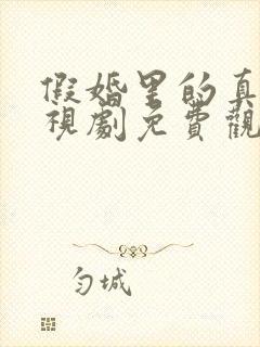 假婚里的真爱电视剧免费观看