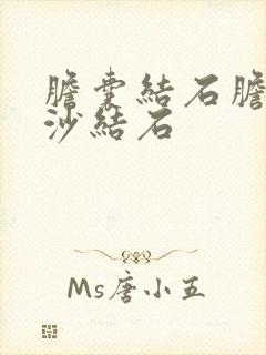 胆囊结石胆囊泥沙结石