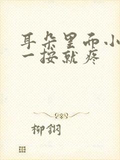 耳朵里面小鼓包一按就疼