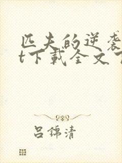 匹夫的逆袭txt下载全文下载