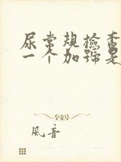 尿常规检查隐血一个加号是怎么回事