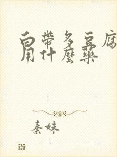 白带多豆腐渣状用什么药