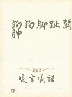 狗狗脚趾关节红肿