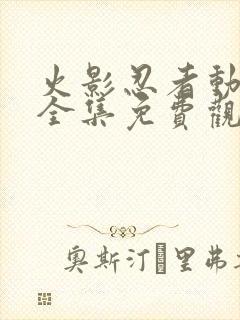 火影忍者动画片全集免费观看