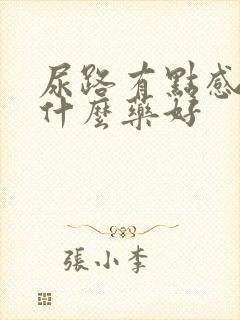 尿路有点感染吃什么药好