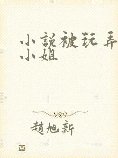 小说被玩弄的大小姐