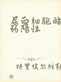 尿白细胞酯酶 弱阳性