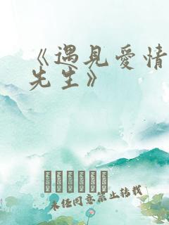 《遇见爱情的利先生》