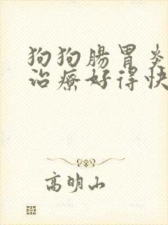 狗狗肠胃炎怎么治疗好得快