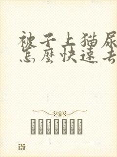 被子上猫尿骚味怎么快速去除