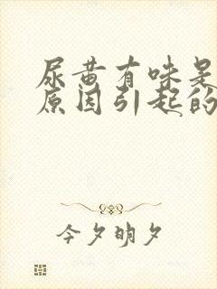 尿黄有味是什么原因引起的