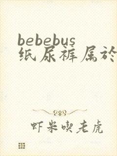 bebebus纸尿裤属于什么档次