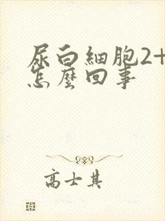 尿白细胞2+是怎么回事