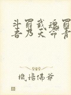 斗罗武魂罗三炮吾乃天命青龙