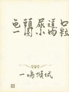 龟头尿道口长了一圈小肉粒子