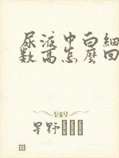 尿液中白细胞计数高怎么回事