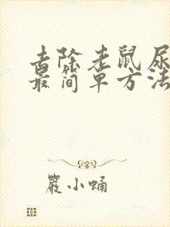 去除老鼠尿骚味最简单方法