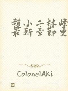 赵小二林峰小说最新章节更新时间