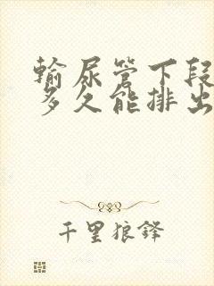 输尿管下段结石多久能排出