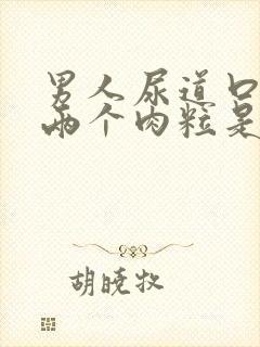 男人尿道口长了两个肉粒是怎么回事