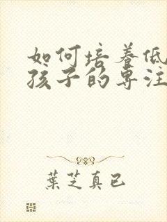 如何培养低年级孩子的专注力