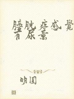 膀胱疼感觉老是有尿意