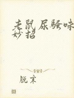 老鼠尿骚味去除妙招