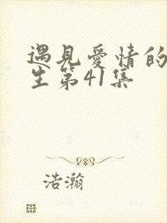 遇见爱情的利先生第41集