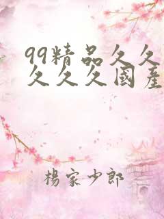 99精品久久久久久久国产