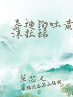 泰迪狗吐黄水带沫拉稀