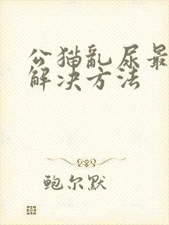 公猫乱尿最好的解决方法