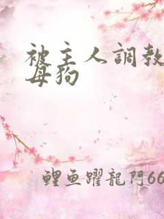 被主人调教的骚母狗