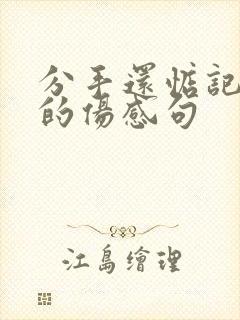 分手还惦记对方的伤感句