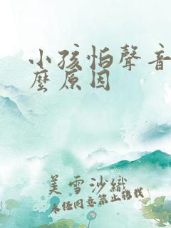 小孩怕声音是什么原因