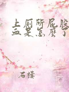 上厕所屁股擦出血是怎么了鲜红色