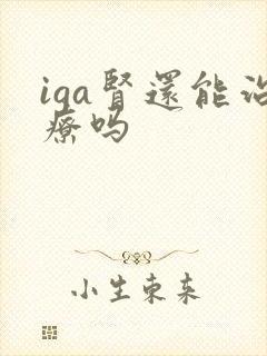 iga肾还能治疗吗