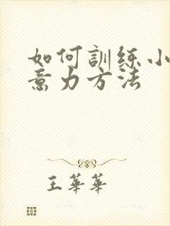 如何训练小孩注意力方法