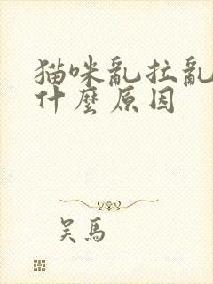 猫咪乱拉乱尿是什么原因