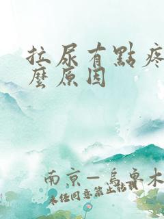 拉尿有点疼是什么原因