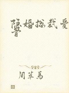 隐婚总裁爱你入骨