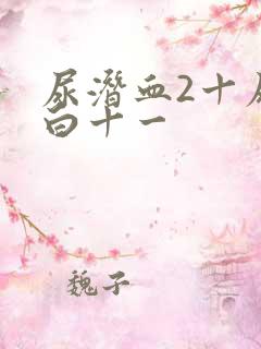 尿潜血2十尿蛋白十一