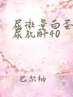 尿微量白蛋白/尿肌酐40