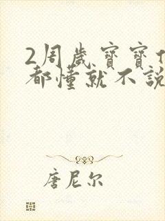 2周岁宝宝什么都懂就不说话