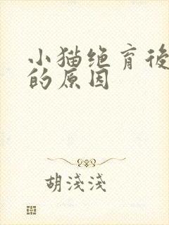 小猫绝育后乱尿的原因