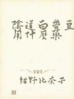 阴道白带豆腐渣用什么药