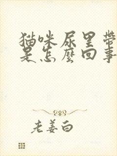 猫咪尿里带血丝是怎么回事