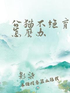 公猫不绝育乱尿怎么办